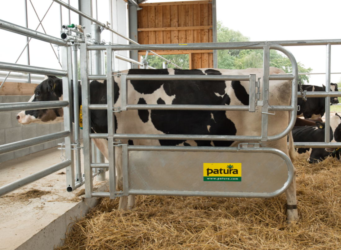 Abtrennung für Tierbehandlung