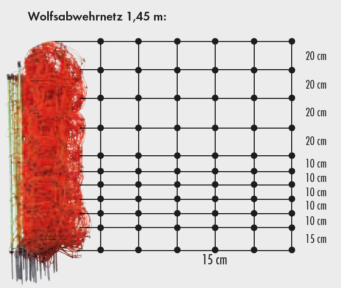Wolfsabwehrnetz, Doppelspitze