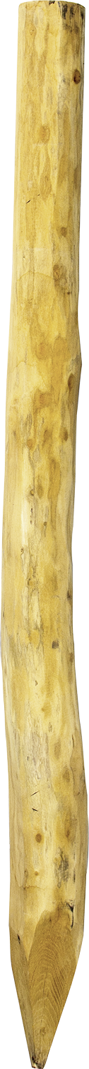 Robinienpfahl, rund,  2,25 m, Ø 16-18 cm