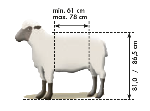 Fang- u. Behandlungsstand Schafe Typ XL