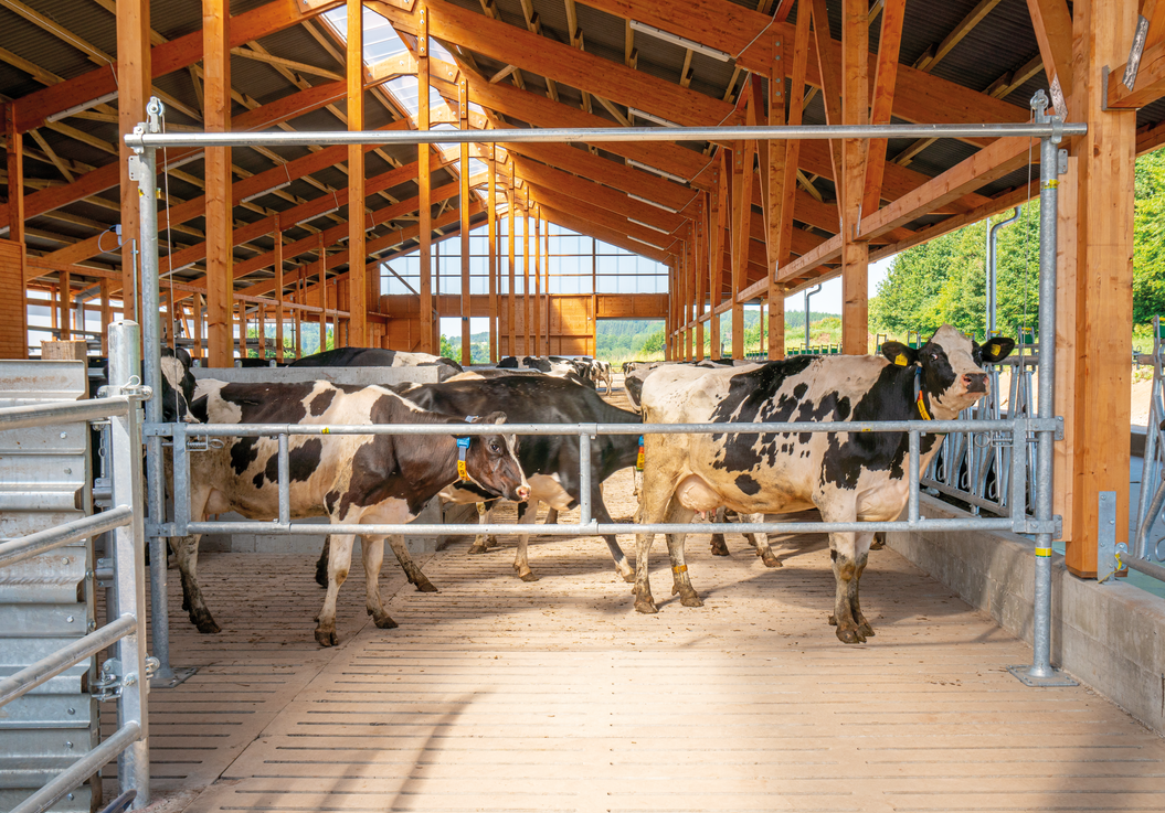 Hubtor für Treibgänge