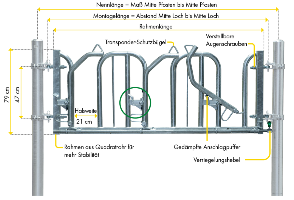 Schweden-Fressgitter, für Rinder mit Hörner