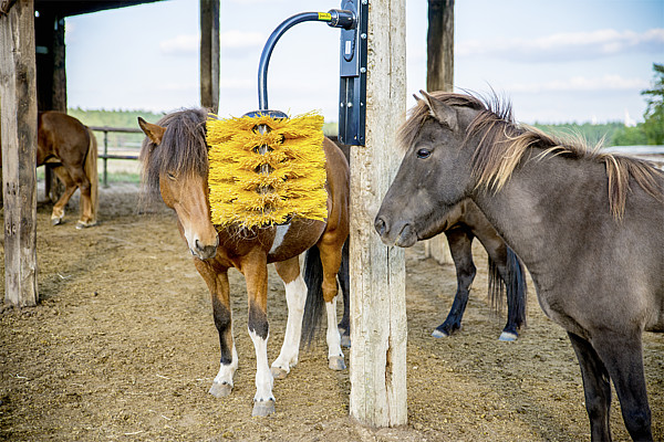 Schwingbürste Midi für Kälber und Pferde