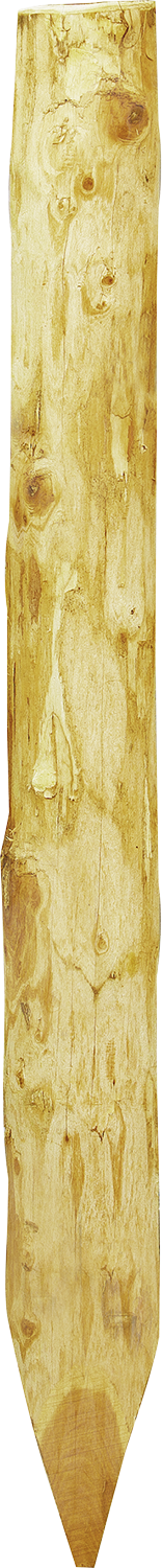 Robinienpfahl, halbiert, 1,80 m, Ø 13-15 cm