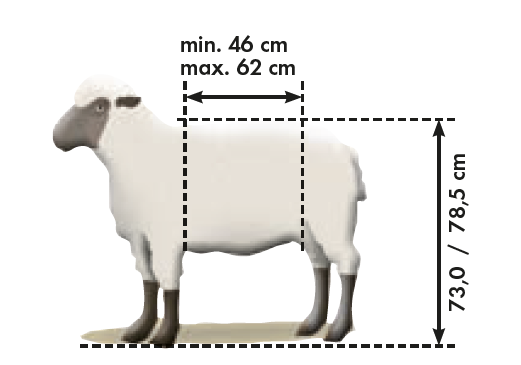Fang- u. Behandlungsstand für Schafe Typ L