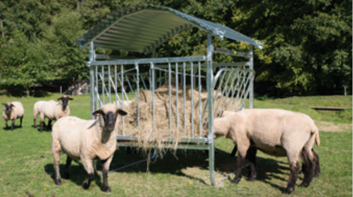 Viereckraufe für Schafe